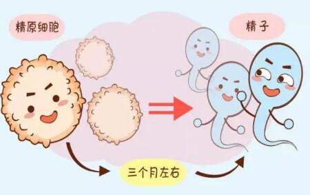 泰国少精症试管婴儿具体收费（附费用及成功率分享）